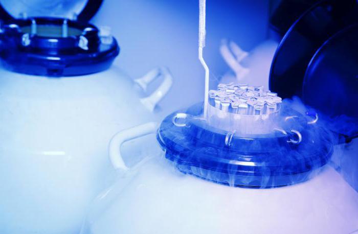 заморозка эмбрионов